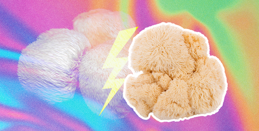 Is Lion's Mane Psychedelic? Beginner’s Guide to Lion’s Mane