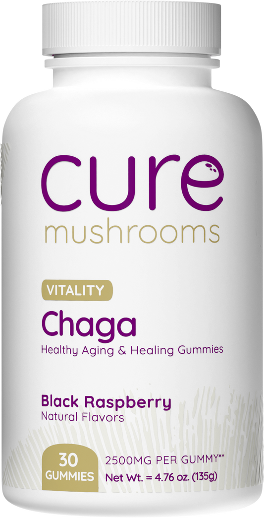 cure mushrooms black raspberry flavor chaga mushroom gummies