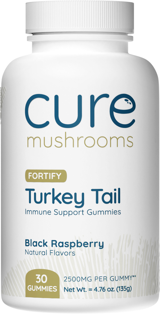 cure mushrooms turkey tail mushroom supplements