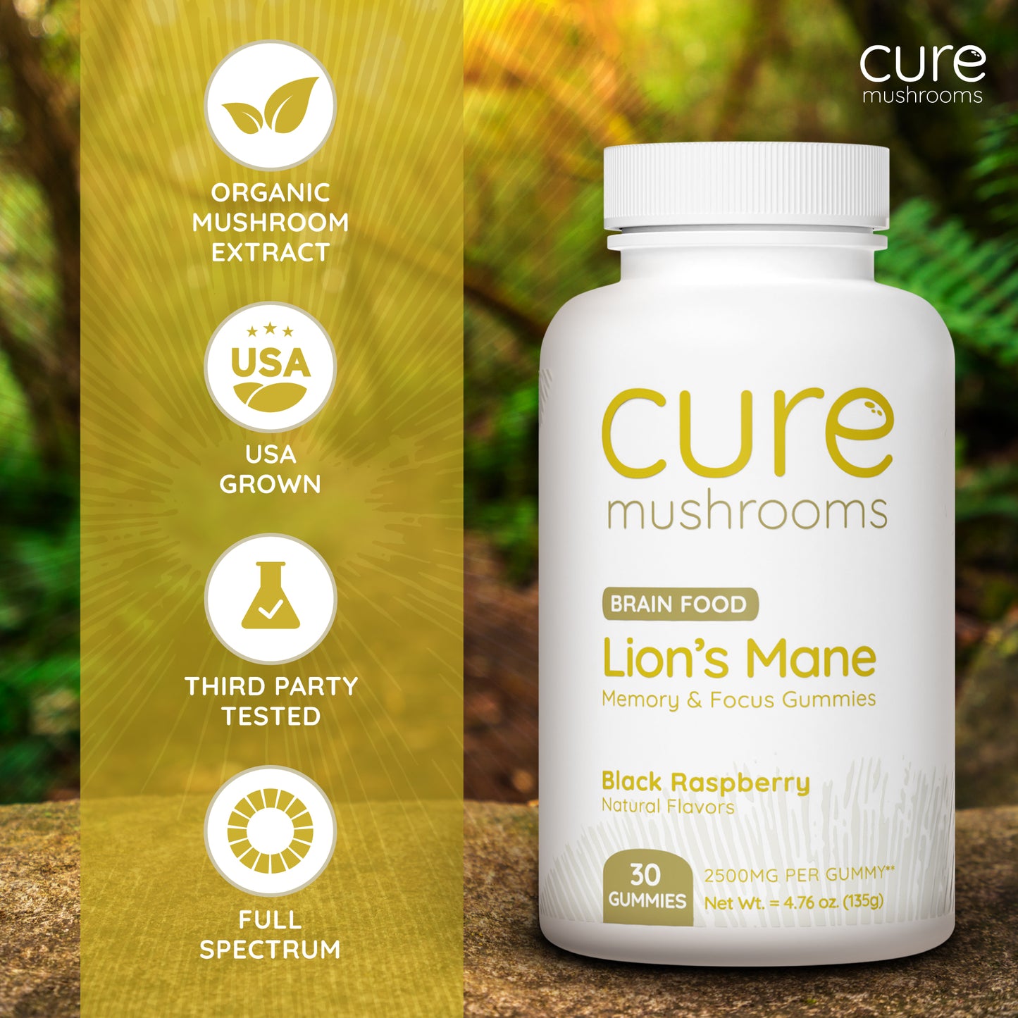 cure mushrooms lion's mane mushroom gummies for memory and focus
