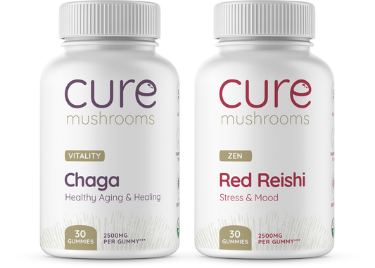 Beauty pack chaga and red reishi gummies