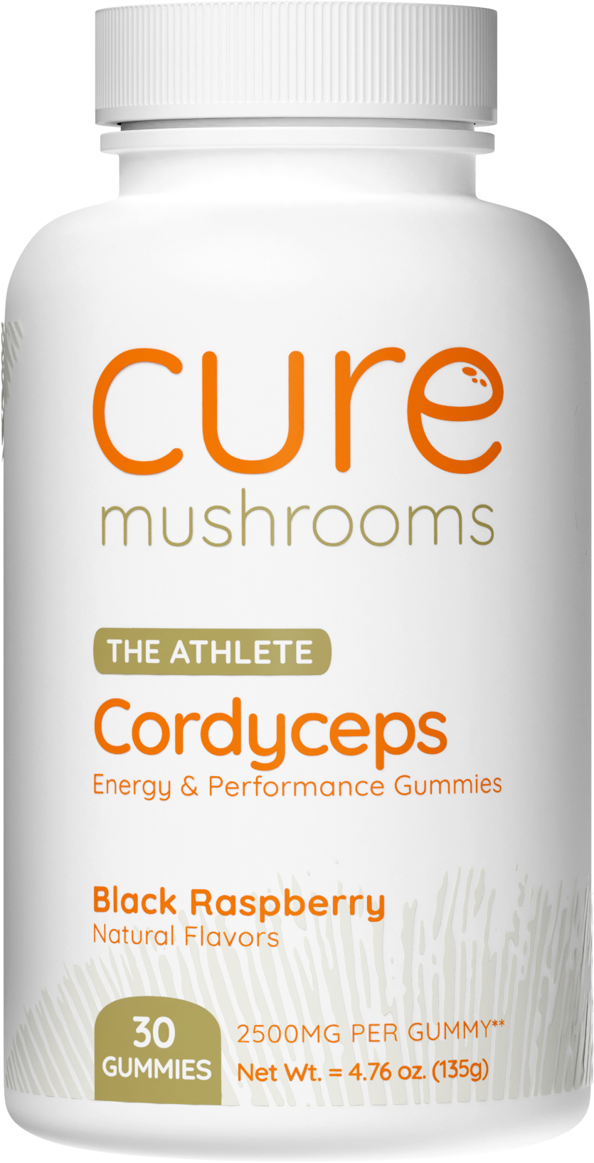 cordyceps mushroom gummies black raspberry flavor