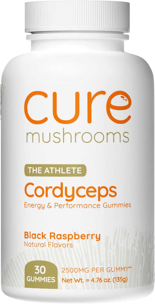 cordyceps mushroom gummies black raspberry flavor