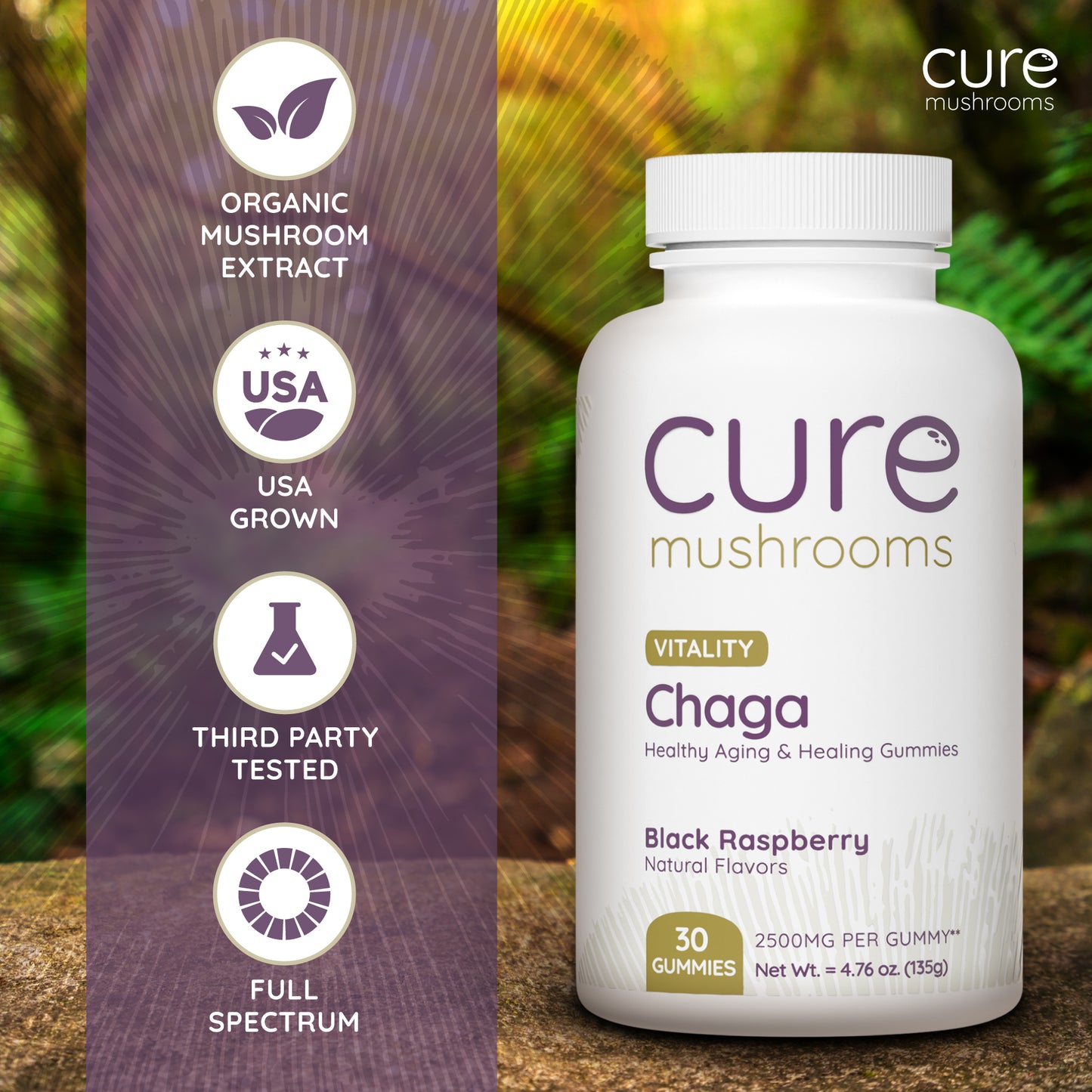 Chaga - Gummies