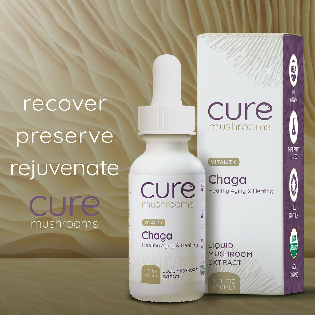 recover preserve and rejuvenate with chaga mushrooms