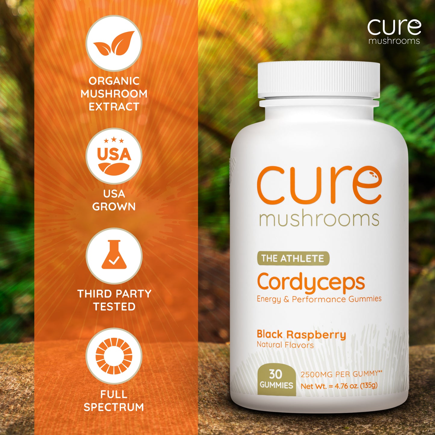 Cure Mushrooms cordyceps mushroom gummies black raspberry flavor