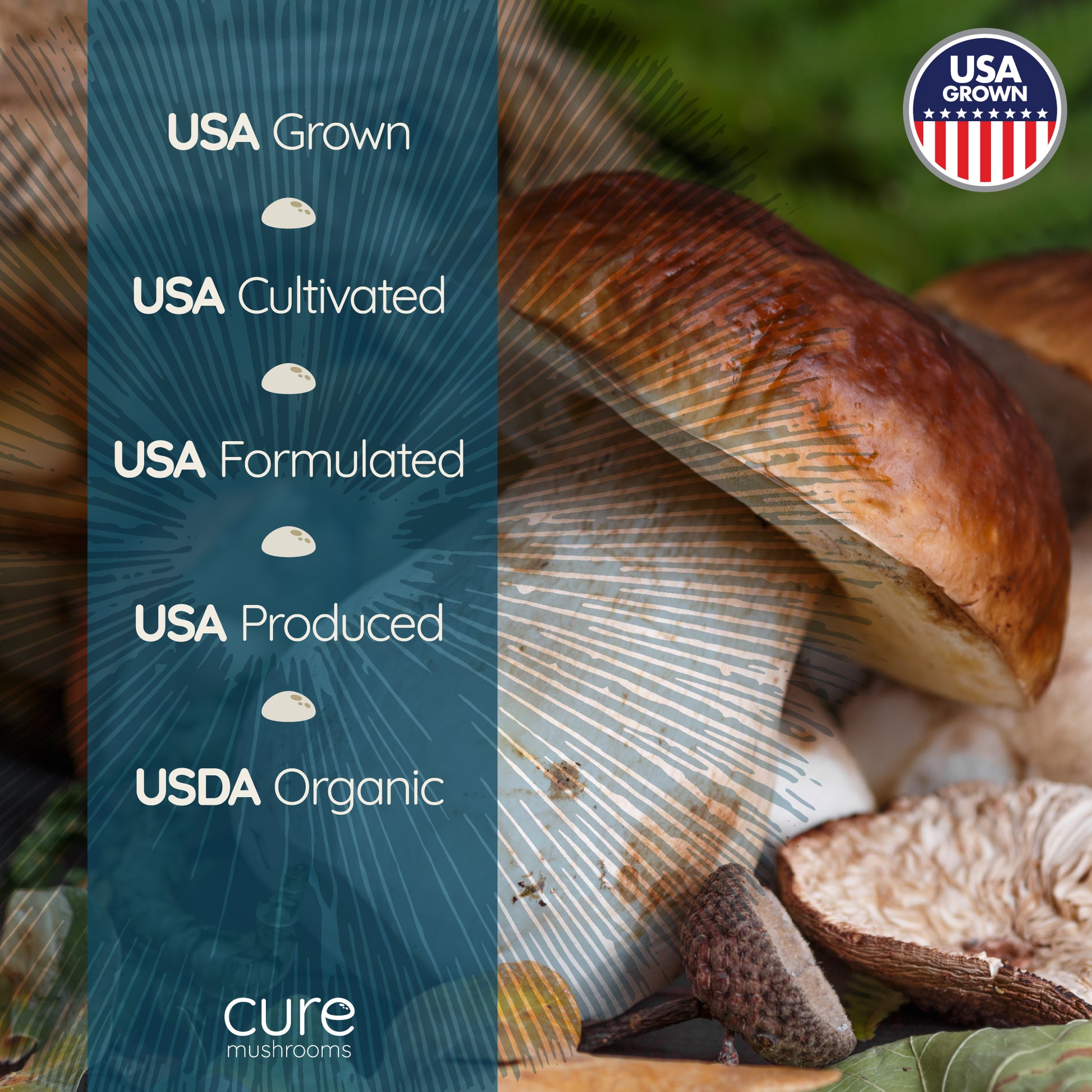 cure mushrooms USA grown organic mushrooms