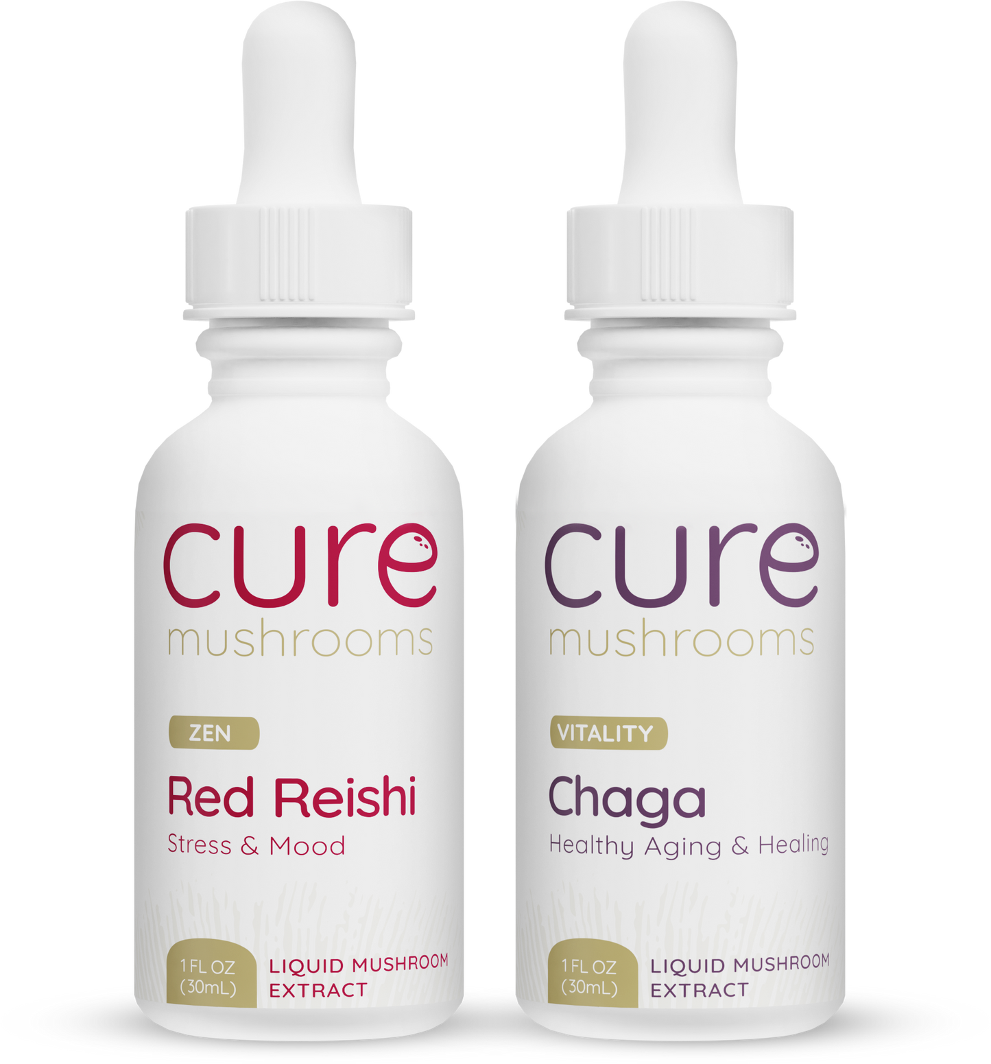 beauty pack mushroom tinctures with reishi and chaga