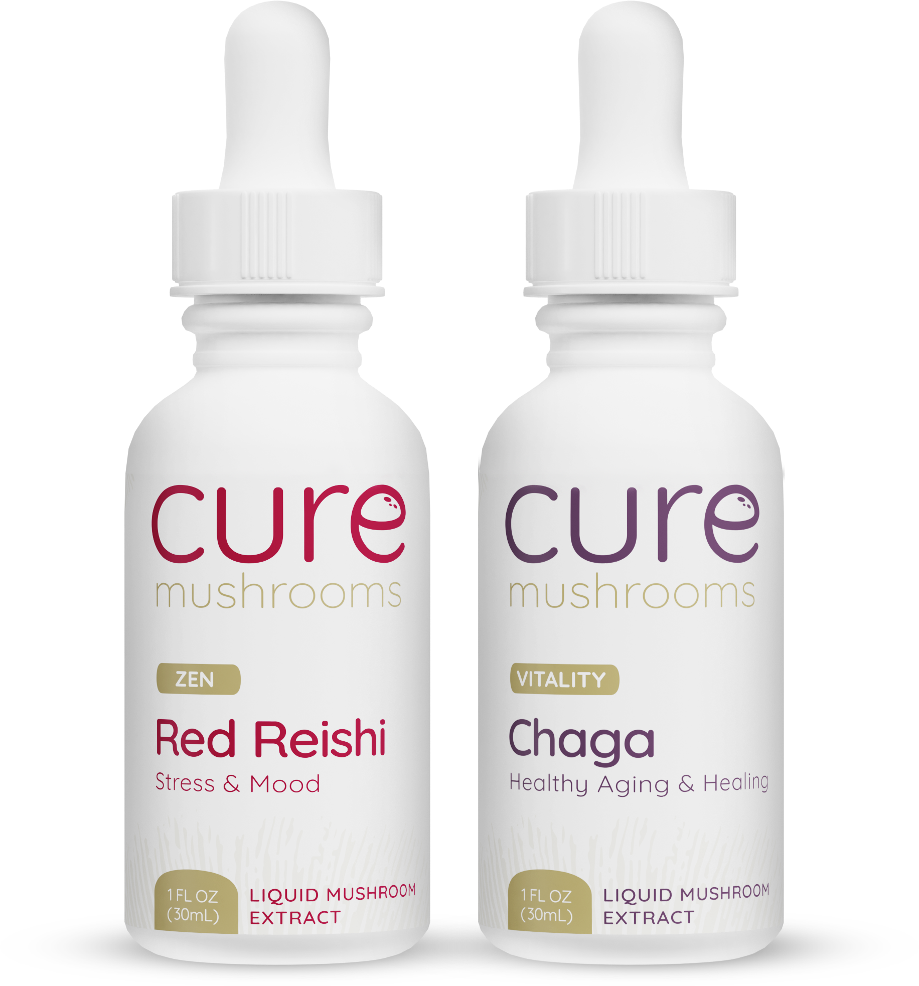 beauty pack mushroom tinctures with reishi and chaga
