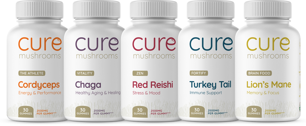 Mushroom Gummy Bundles