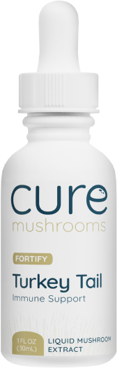 cure mushroom turkey tail immune support tincture