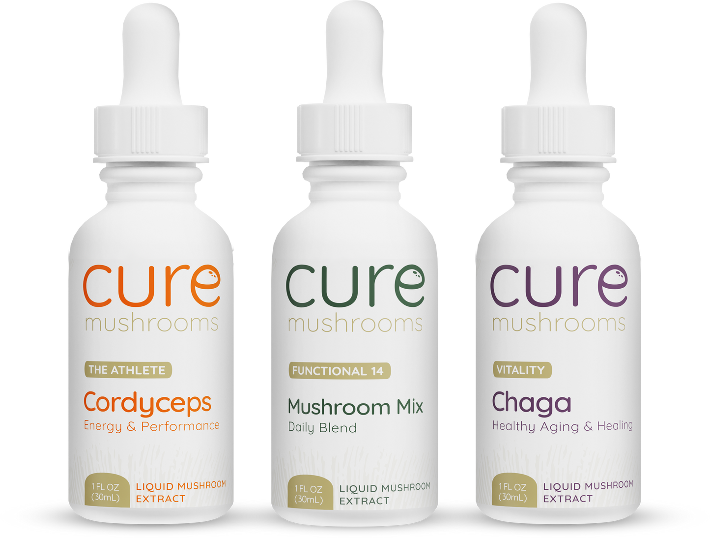 starter pack with cordyceps, mushroom mix, and chaga tinctures