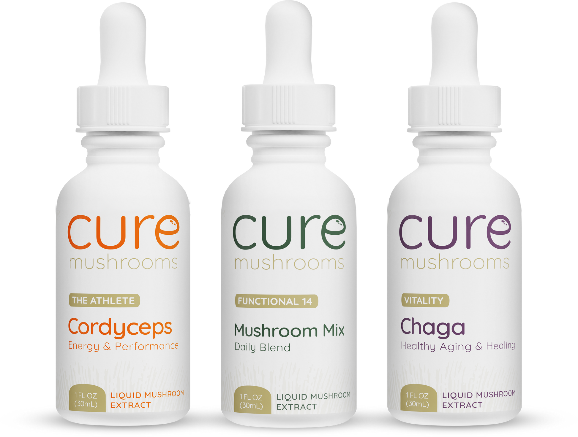 starter pack with cordyceps, mushroom mix, and chaga tinctures