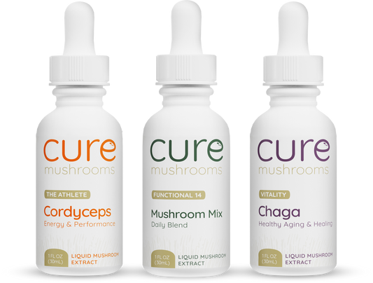 starter pack with cordyceps, mushroom mix, and chaga tinctures