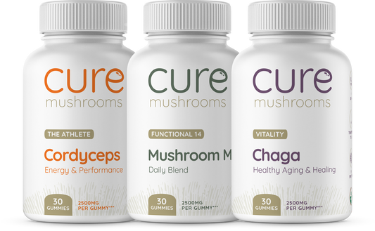starter mushroom gummy pack with cordyceps, mushroom mix, and chaga
